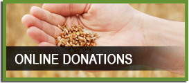 Online Donations